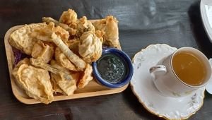 Mixed vegetable dumplings  at Green Elephants Thai Vegan in Watkins Glen