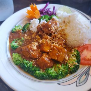 Param with tofu at Green Elephants Thai Vegan in Watkins Glen
