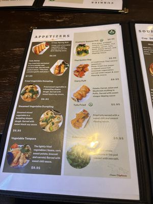   at Green Elephants Thai Vegan in Watkins Glen