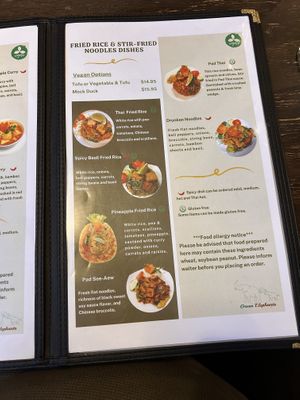   at Green Elephants Thai Vegan in Watkins Glen