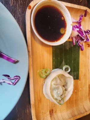 Dumplings at Green Elephants Thai Vegan in Watkins Glen