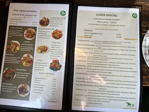 menu page 6-7  at Green Elephants Thai Vegan in Watkins Glen
