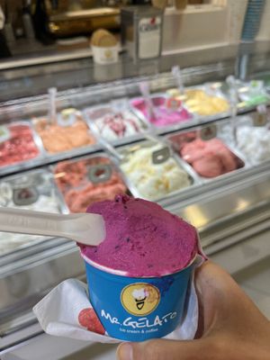   at Mr. Gelato in Prague