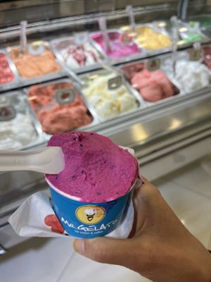   at Mr. Gelato in Prague