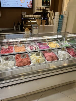   at Mr. Gelato in Prague