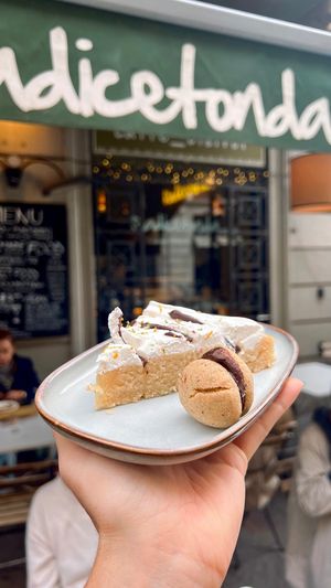  at Radicetonda - Via Spallanzani in Milan