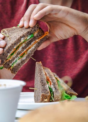  at Radicetonda - Via Spallanzani in Milan