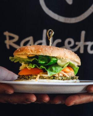  at Radicetonda - Via Spallanzani in Milan