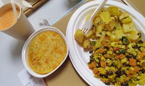 P at Radicetonda - Via Spallanzani in Milan