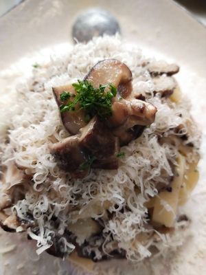 Tagliatelle Panna e Funghi
(Pasta with Vegan cream and Shitake mushroom) at Pasta Story in Chiang Mai