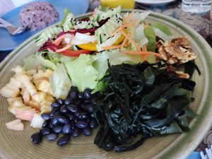  at Green Hand Vegetarian and Vegan Food in Chiang Mai