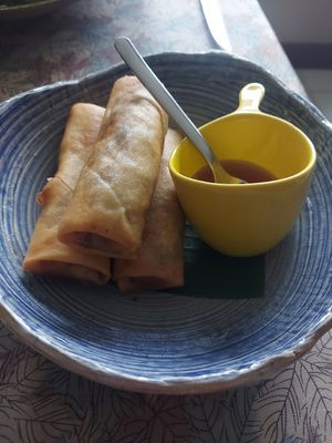 Spring rolls at Green Hand Vegetarian and Vegan Food in Chiang Mai