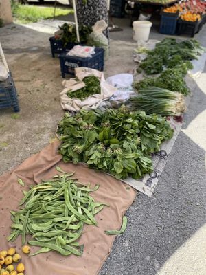 More greens   at Pazartesi Pazarı Oba in Antalya