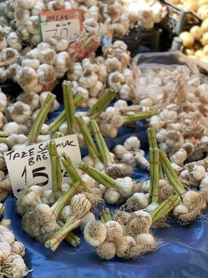 Garlic bulbs   at Pazartesi Pazarı Oba in Antalya
