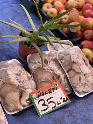 Mushrooms   at Pazartesi Pazarı Oba in Antalya