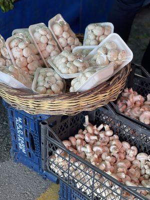 Mushrooms   at Pazartesi Pazarı Oba in Antalya