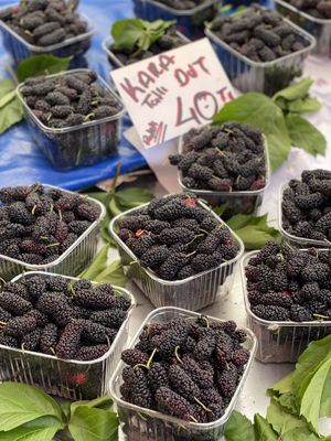 Berries   at Pazartesi Pazarı Oba in Antalya