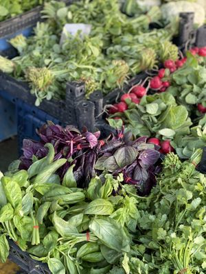 Basil   at Pazartesi Pazarı Oba in Antalya