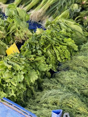 Dill  at Pazartesi Pazarı Oba in Antalya