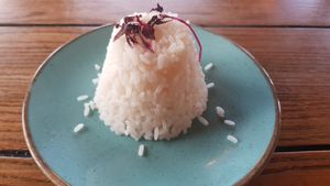 Rice at The Sand Dancer in South Shields