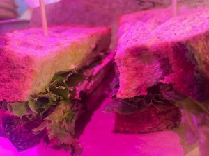 Breakfast sandwich at PLANTS Kitchen & Bar in Almaty