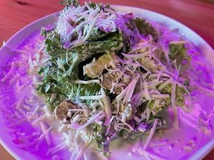 Vegan Ceasar Salad at PLANTS Kitchen & Bar in Almaty