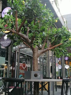 Seating area outside in Restopark at PLANTS Kitchen & Bar in Almaty