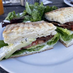   at Equator Coffees in Sausalito