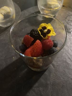   at Mãe Terra in Portimao