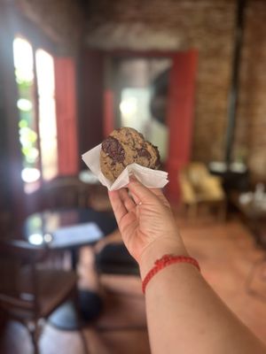   at Albertine in Colonia Del Sacramento