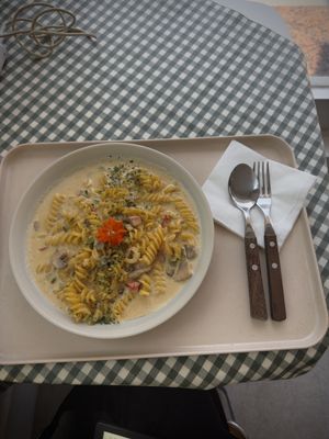 Vegan cream pasta with mushrooms and peppers   at Kkachi Kkachi - 까치까치 in Busan