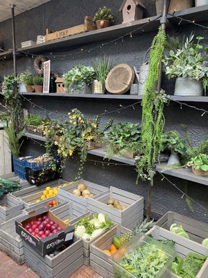   at Forgan's in St Andrews