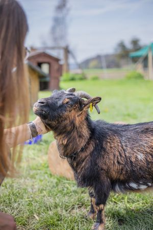 Frau Iseli @Lebenshof TierMensch at Lebenshof TierMensch in Huentwangen
