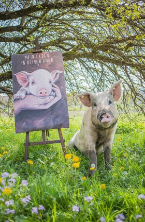 Art and Carlos @Lebenshof TierMensch at Lebenshof TierMensch in Huentwangen