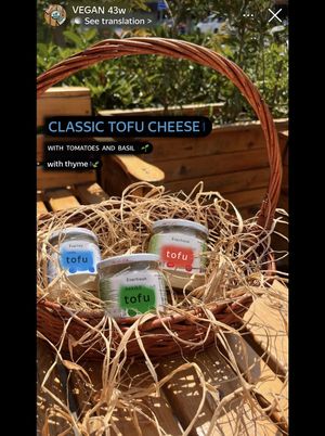 Tofu  at Emir Gurme in Alanya