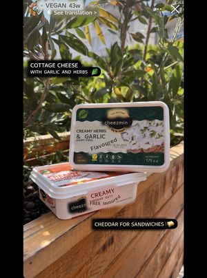 Vegan cream cheese  at Emir Gurme in Alanya