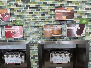 Chocolate and raspberry pomegranate vegan flavors  at Yogurtini in Glendale