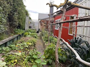   at Diamond Harbour Wellness  in Diamond Harbour