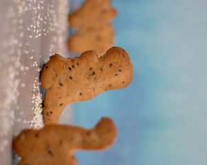 Dino-galleta at Gordiveganos in Playa Del Carmen