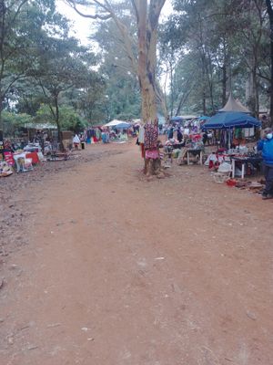 Entering the market in Karen, Nairobi. at Organic Farmers Market in Nairobi