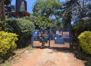 Entrance to KSPCA and the market at Organic Farmers Market in Nairobi