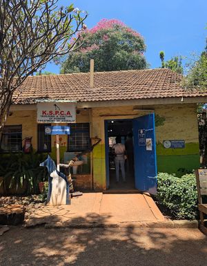 KSPCA office at Organic Farmers Market in Nairobi
