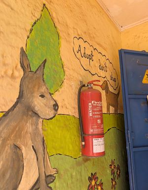 Adopt don't shop! at Organic Farmers Market in Nairobi