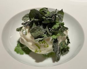 Schwarzrettich at Essigbrätlein in Nuremberg