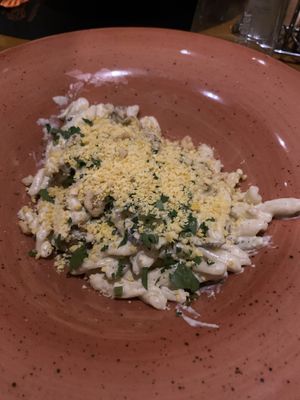 Pasta with mushrooms and walnuts at L'Incontro in Karlsruhe