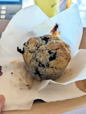 Fresh out of the oven blueberry muffin 😍 at Third Space Coffee in Bentonville