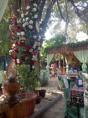  at Bibikhanum Teahouse in Samarkand