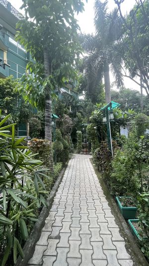   at Beatles Cafe in Rishikesh