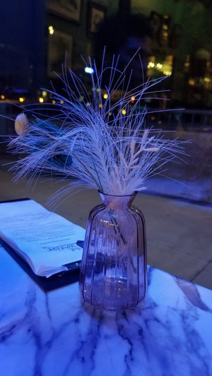  at The Wakery - Bar in Springfield