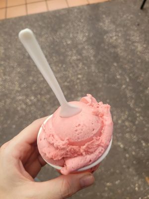 Raspberry Sorbet!  at Gingerlatis - Gelati and Dessert Bar in Yandina